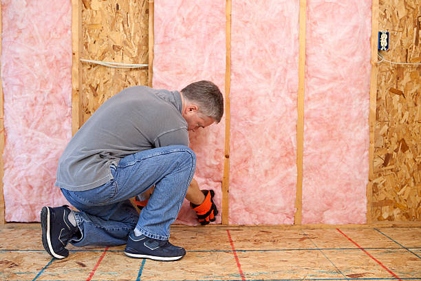 Best Attic Insulation Installation  in Franklin Farm, VA